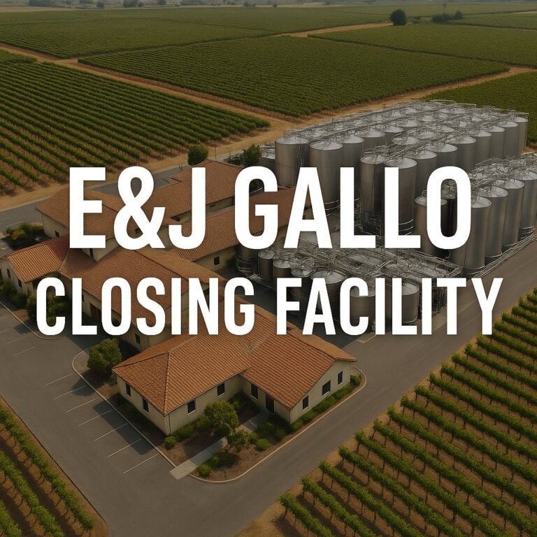 E&J Gallo Winery Closing Facility: What Employees Need to Know