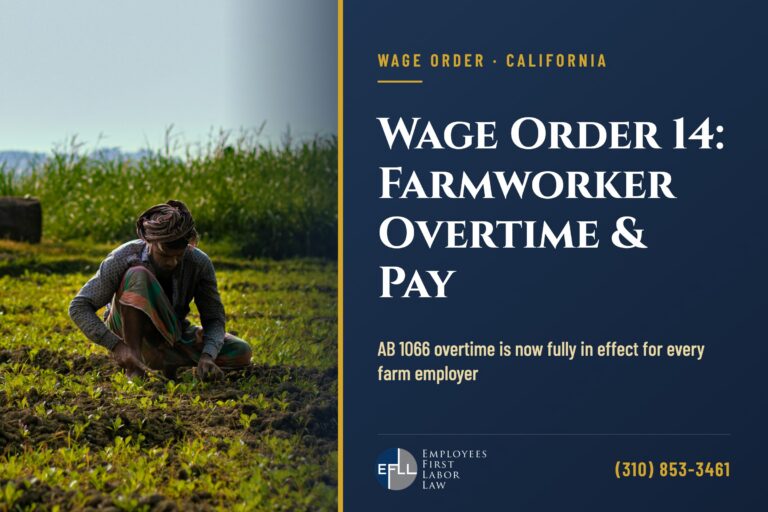 Farmworker crouching to work a crop row in an open field