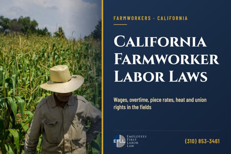 Farmworker in a straw hat in a corn field, illustrating California farmworker labor laws